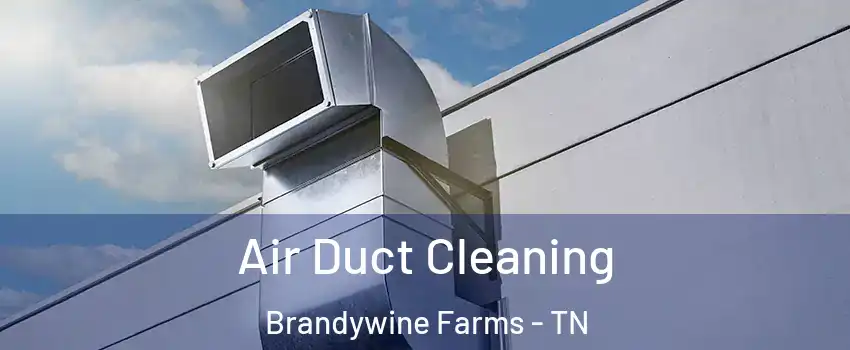 Air Duct Cleaning Brandywine Farms - TN