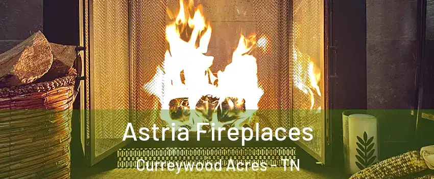 Astria Fireplaces Curreywood Acres - TN