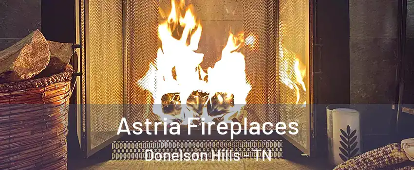 Astria Fireplaces Donelson Hills - TN