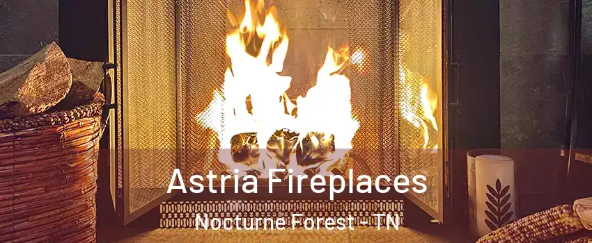 Astria Fireplaces Nocturne Forest - TN