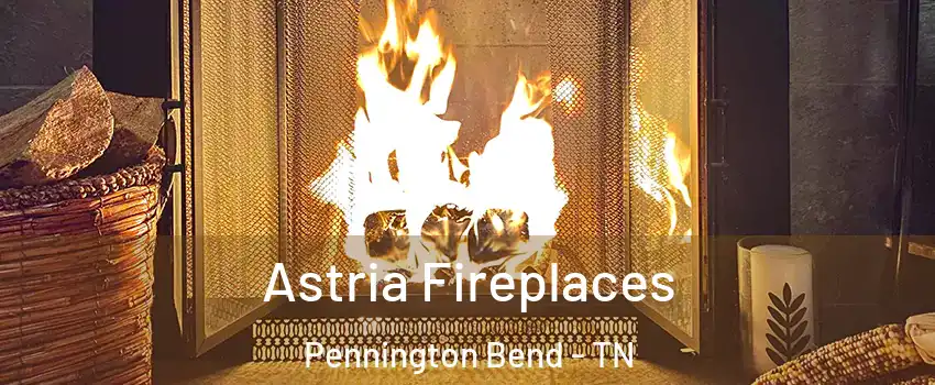 Astria Fireplaces Pennington Bend - TN