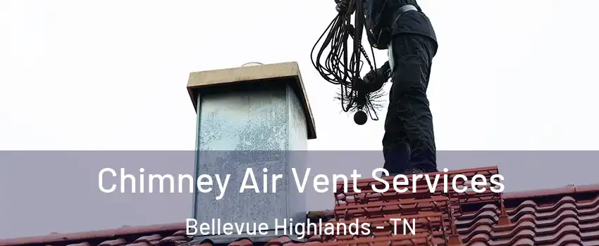 Chimney Air Vent Services Bellevue Highlands - TN