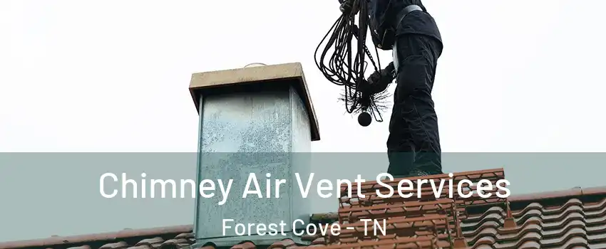 Chimney Air Vent Services Forest Cove - TN