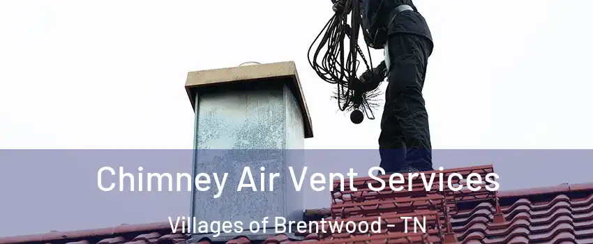 Chimney Air Vent Services Villages of Brentwood - TN