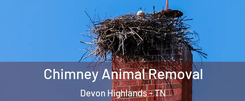 Chimney Animal Removal Devon Highlands - TN