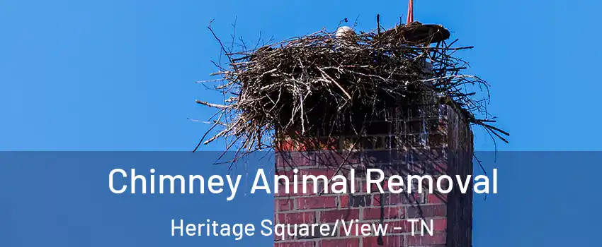 Chimney Animal Removal Heritage Square/View - TN