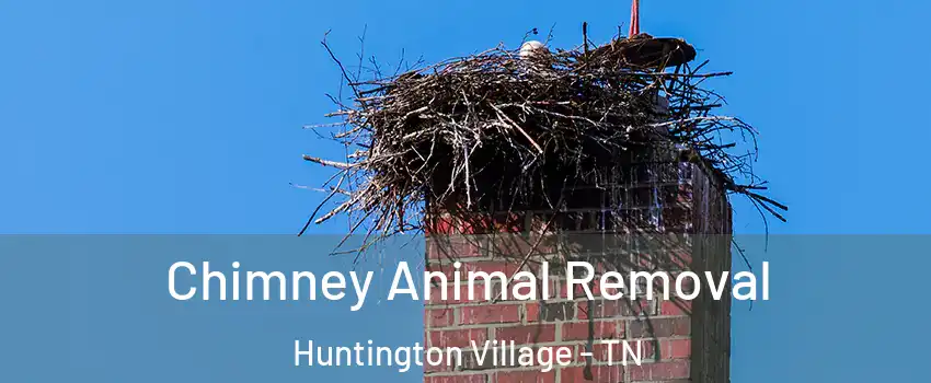 Chimney Animal Removal Huntington Village - TN