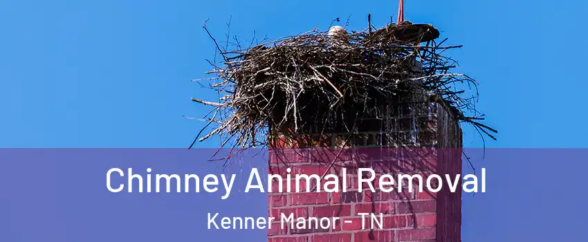 Chimney Animal Removal Kenner Manor - TN