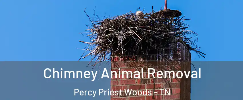 Chimney Animal Removal Percy Priest Woods - TN