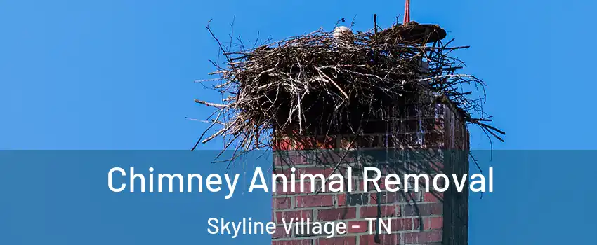 Chimney Animal Removal Skyline Village - TN