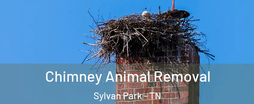 Chimney Animal Removal Sylvan Park - TN