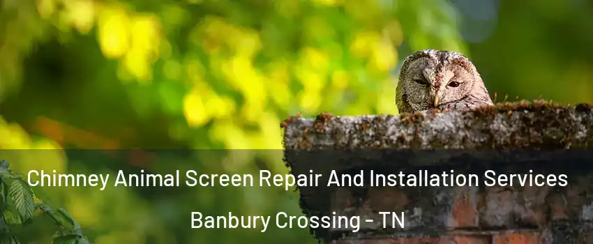 Chimney Animal Screen Repair And Installation Services Banbury Crossing - TN