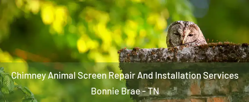 Chimney Animal Screen Repair And Installation Services Bonnie Brae - TN