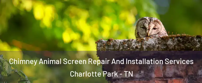 Chimney Animal Screen Repair And Installation Services Charlotte Park - TN