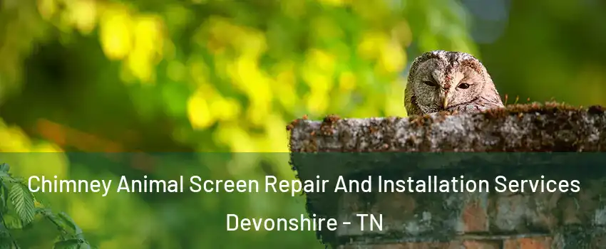 Chimney Animal Screen Repair And Installation Services Devonshire - TN