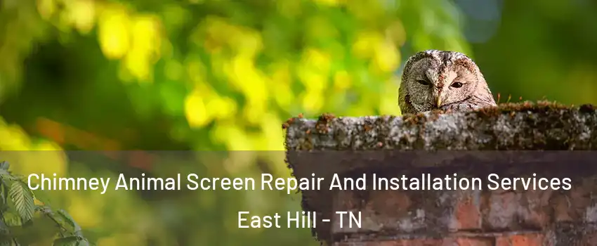 Chimney Animal Screen Repair And Installation Services East Hill - TN