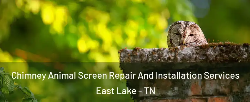 Chimney Animal Screen Repair And Installation Services East Lake - TN