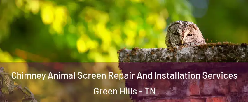 Chimney Animal Screen Repair And Installation Services Green Hills - TN
