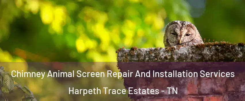 Chimney Animal Screen Repair And Installation Services Harpeth Trace Estates - TN