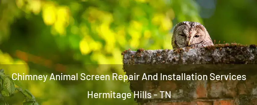 Chimney Animal Screen Repair And Installation Services Hermitage Hills - TN