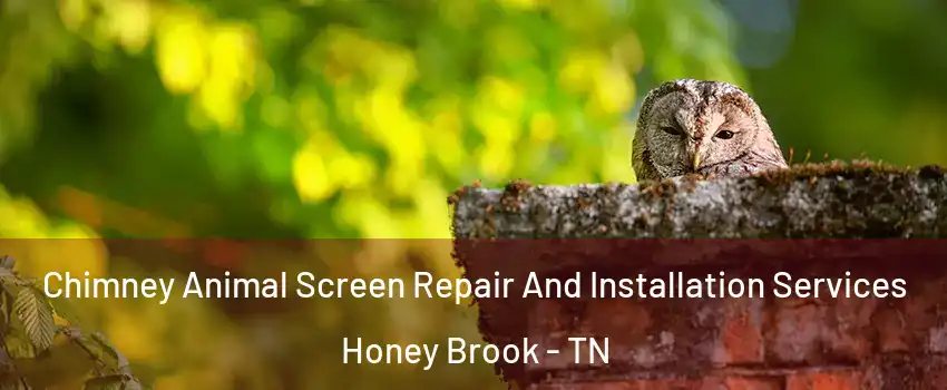 Chimney Animal Screen Repair And Installation Services Honey Brook - TN