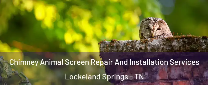 Chimney Animal Screen Repair And Installation Services Lockeland Springs - TN
