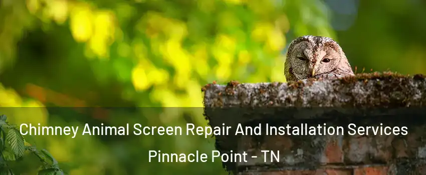 Chimney Animal Screen Repair And Installation Services Pinnacle Point - TN