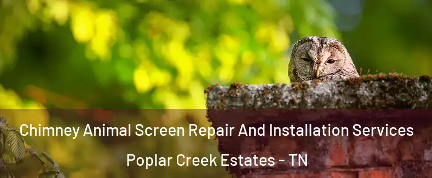 Chimney Animal Screen Repair And Installation Services Poplar Creek Estates - TN