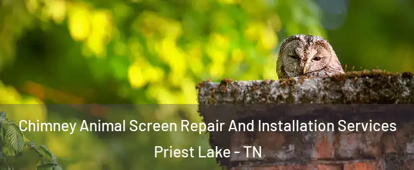 Chimney Animal Screen Repair And Installation Services Priest Lake - TN