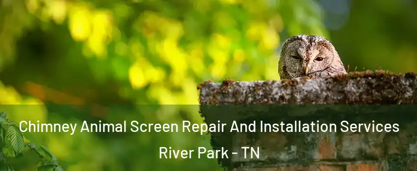 Chimney Animal Screen Repair And Installation Services River Park - TN