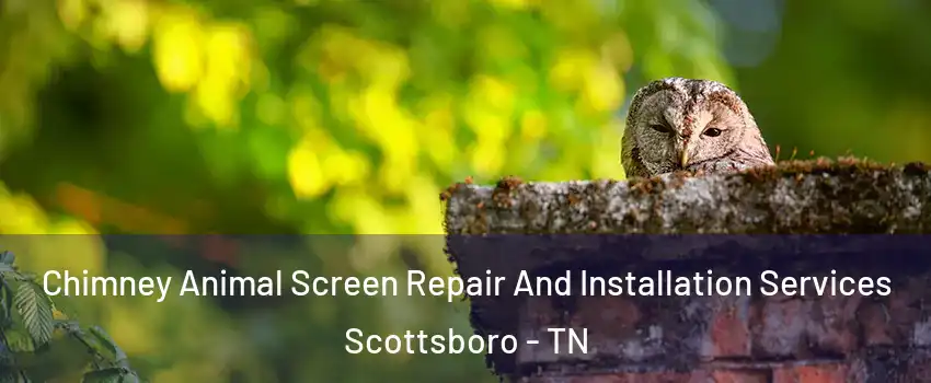 Chimney Animal Screen Repair And Installation Services Scottsboro - TN