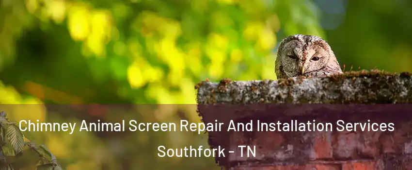 Chimney Animal Screen Repair And Installation Services Southfork - TN