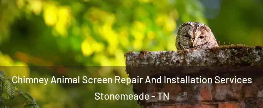 Chimney Animal Screen Repair And Installation Services Stonemeade - TN