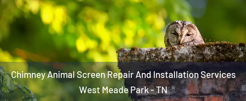 Chimney Animal Screen Repair And Installation Services West Meade Park - TN