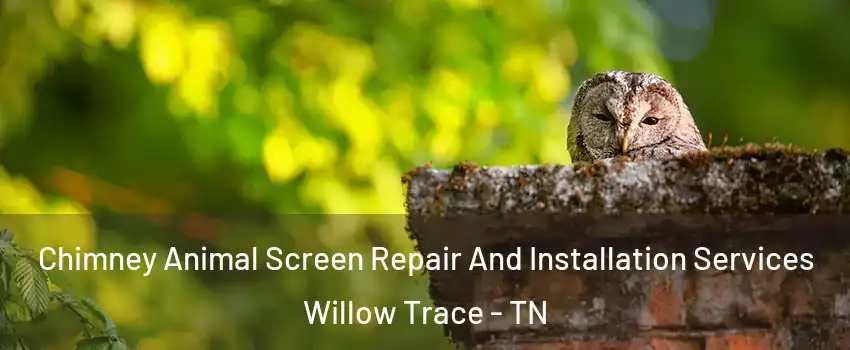 Chimney Animal Screen Repair And Installation Services Willow Trace - TN