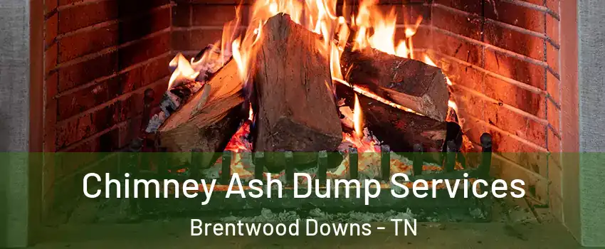 Chimney Ash Dump Services Brentwood Downs - TN