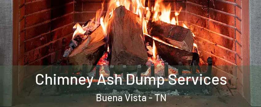 Chimney Ash Dump Services Buena Vista - TN