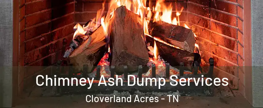 Chimney Ash Dump Services Cloverland Acres - TN