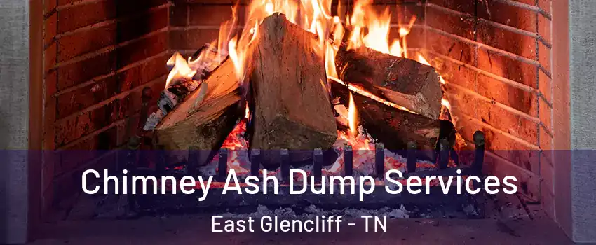 Chimney Ash Dump Services East Glencliff - TN
