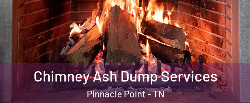 Chimney Ash Dump Services Pinnacle Point - TN