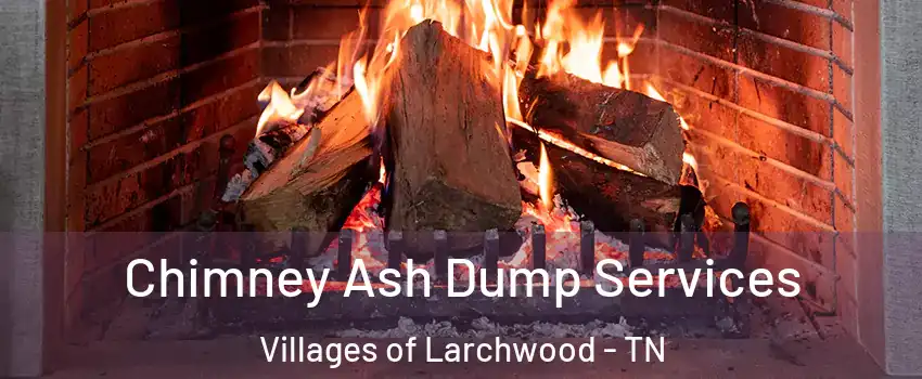 Chimney Ash Dump Services Villages of Larchwood - TN