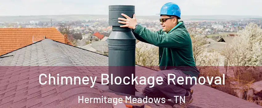 Chimney Blockage Removal Hermitage Meadows - TN