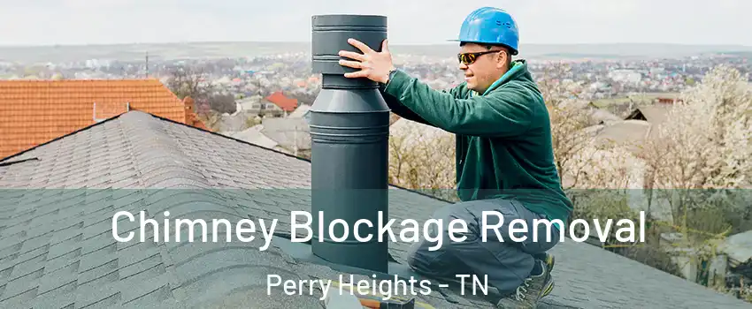 Chimney Blockage Removal Perry Heights - TN