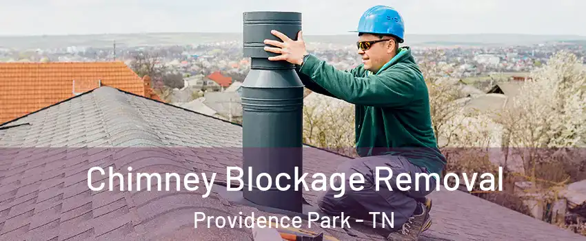 Chimney Blockage Removal Providence Park - TN