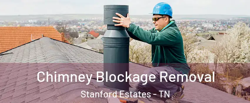 Chimney Blockage Removal Stanford Estates - TN
