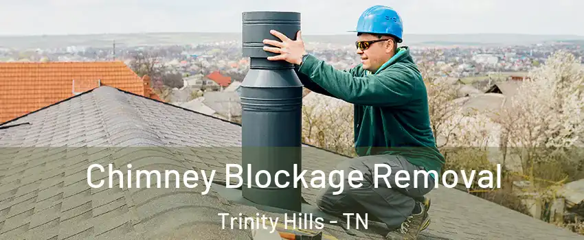 Chimney Blockage Removal Trinity Hills - TN