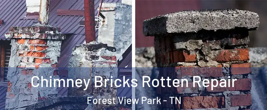 Chimney Bricks Rotten Repair Forest View Park - TN