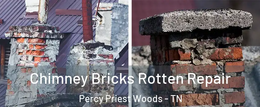 Chimney Bricks Rotten Repair Percy Priest Woods - TN