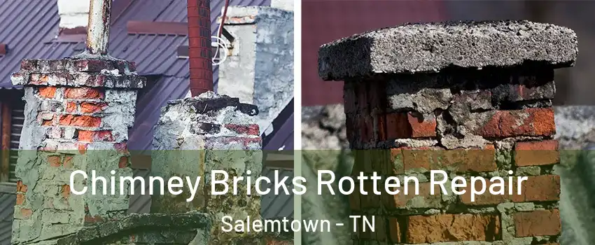 Chimney Bricks Rotten Repair Salemtown - TN