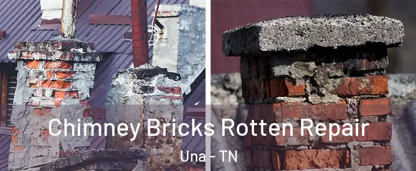 Chimney Bricks Rotten Repair Una - TN